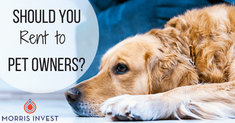 Should You Rent to Pet Owners?