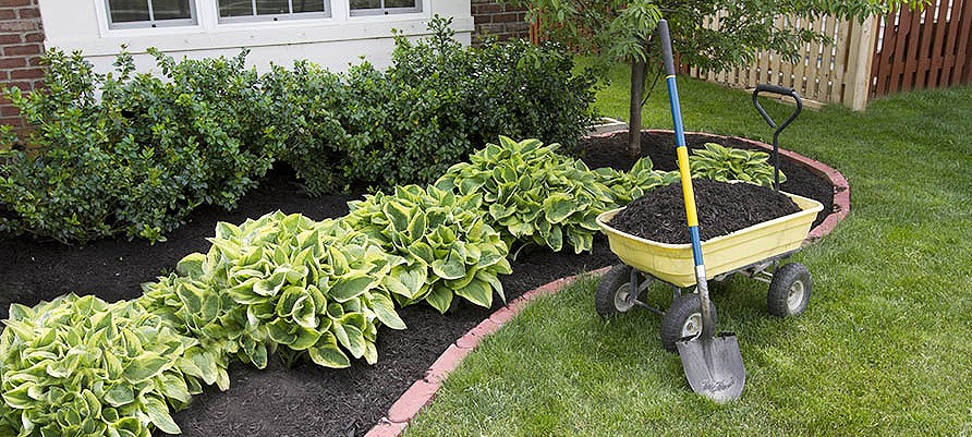 What Rental Property Upgrades Should I Make