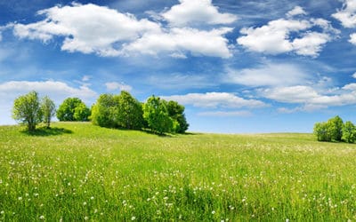 3 Reasons Why Investing in Raw Land is a Smart Financial Move