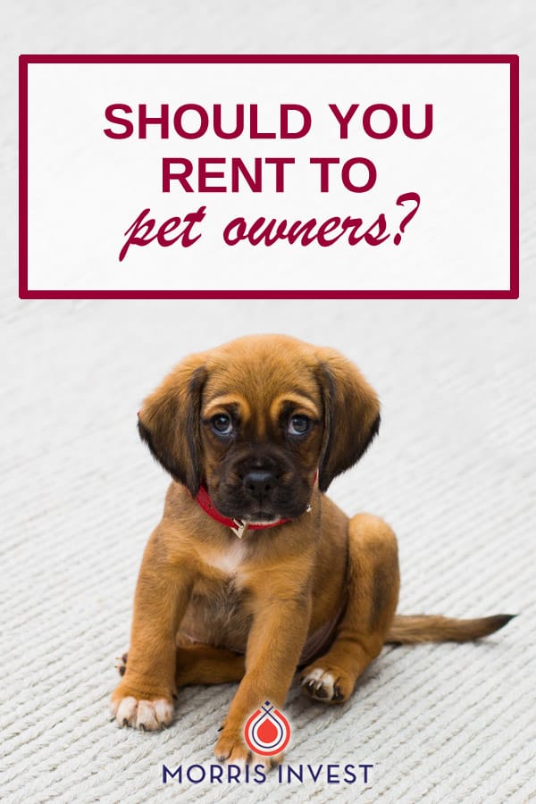  Landlords have all heard the horror stories involving urine, scratching, digging, and destruction. It’s scary to think about, but I’ve found that allowing pets in your rental properties can be a major benefit. 